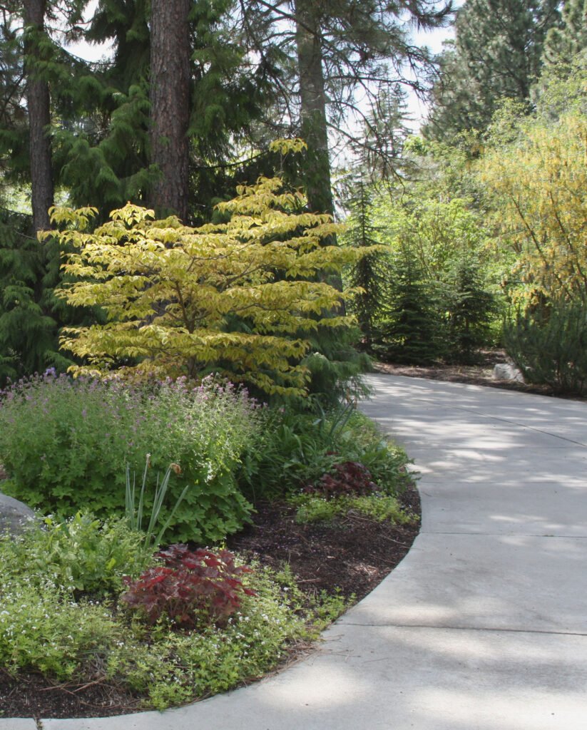 Choosing the Best Finish for Concrete Sidewalks in Greeley, Colorado
